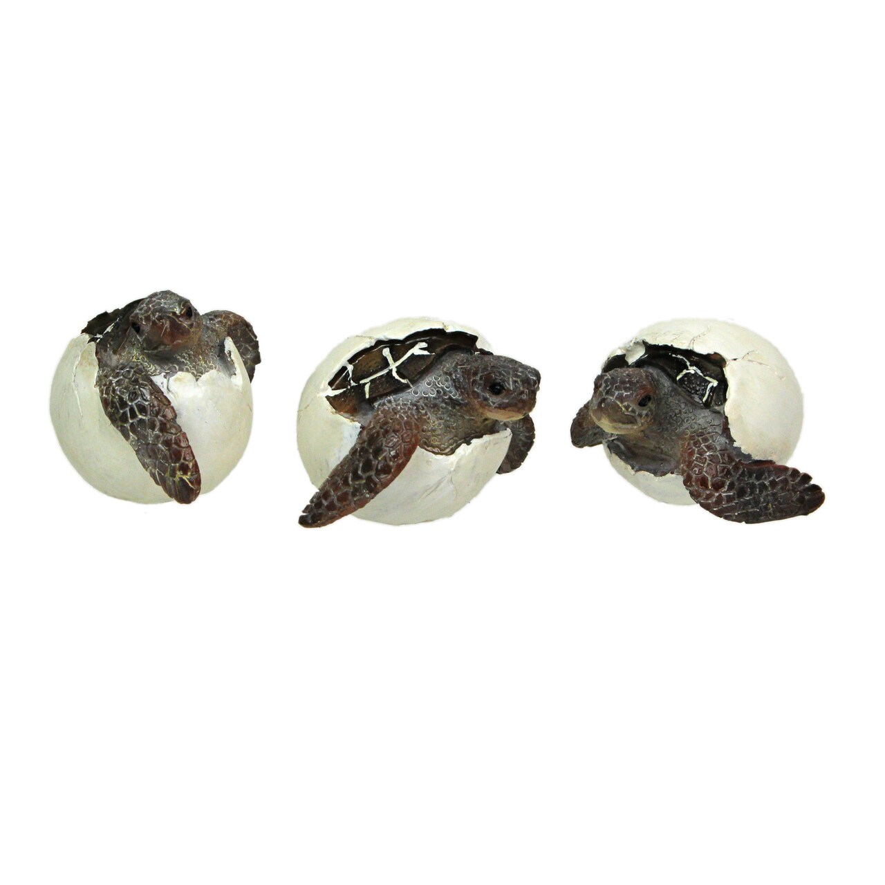 Set of 3 Hand-Painted Resin Hatching Sea Turtle Minifigures-2.75 Inches Diameter